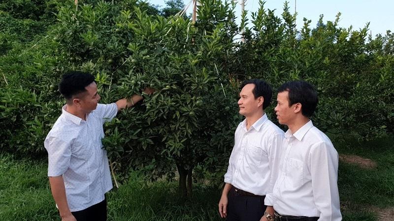 Thanh Hóa: Nỗ lực toàn diện xóa đói giảm nghèo vùng miền núi