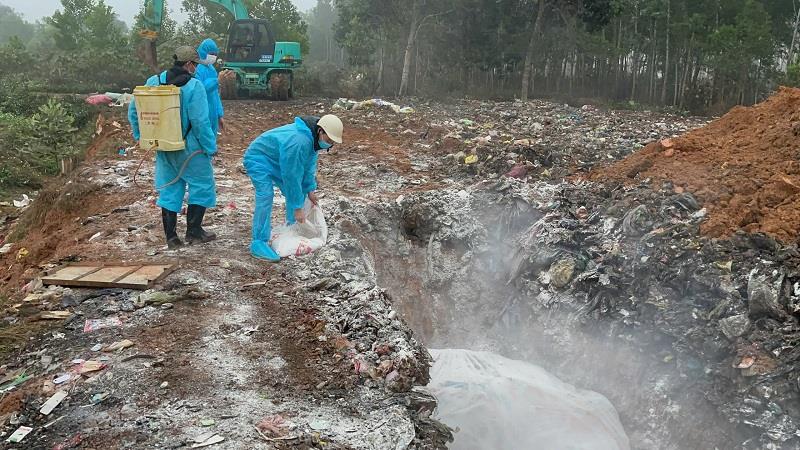 Thanh Hóa: Quyết liệt khống chế dịch tả lợn châu Phi