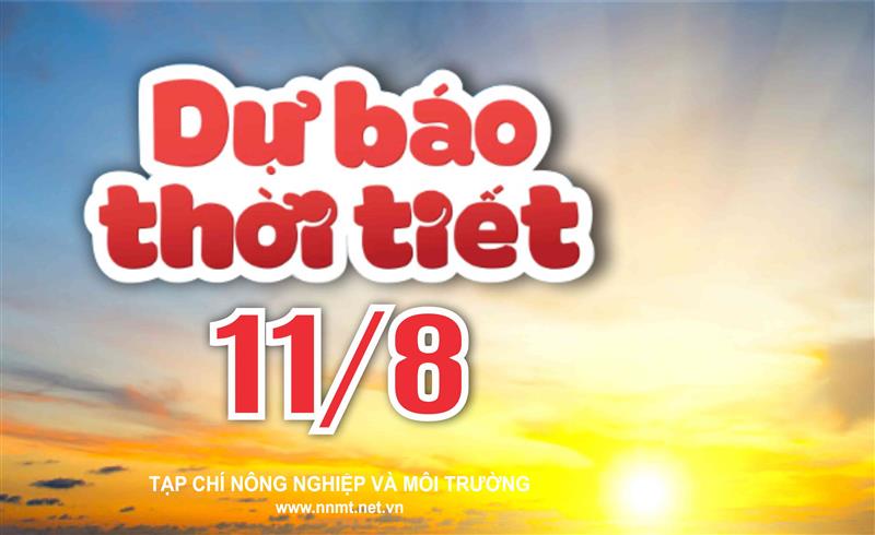Thời tiết ngày 11/8: Bắc Bộ và Trung Bộ giảm nhiệt, chiều tối mưa dông