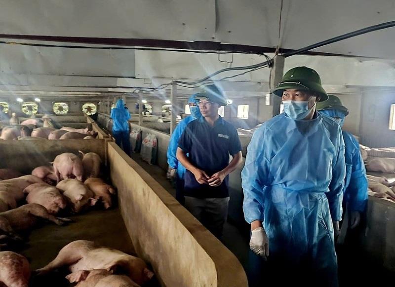 Thứ trưởng Phùng Đức Tiến vào điểm nóng dịch tả lợn Châu Phi ở Phú Thọ