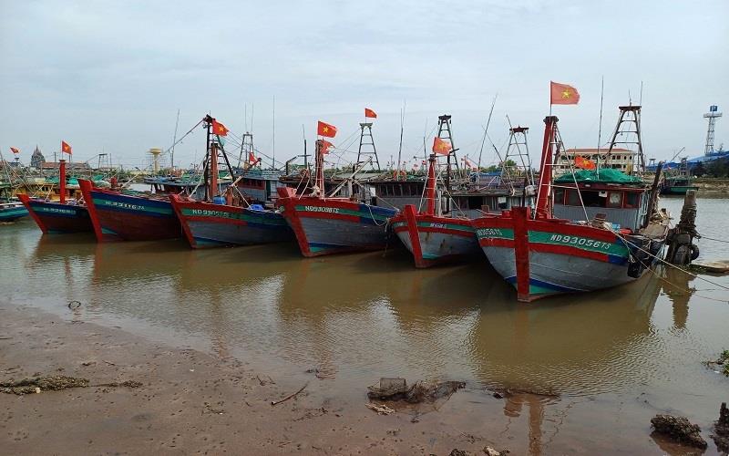 Thủy sản Ninh Bình hướng tới phát triển bền vững