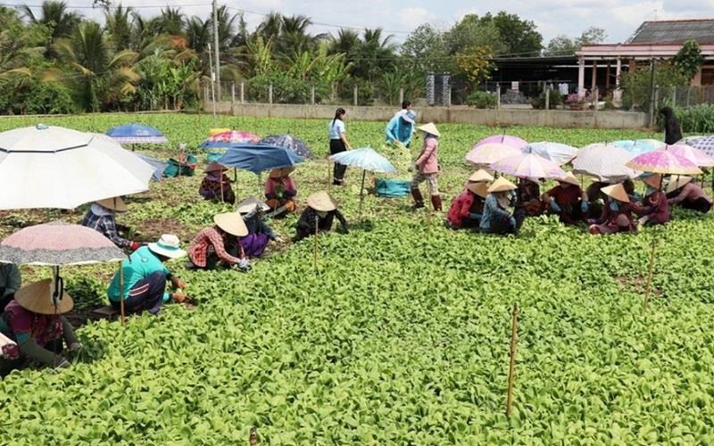 Từ ngày 1/7: Tổng điều tra nông thôn, nông nghiệp năm 2025