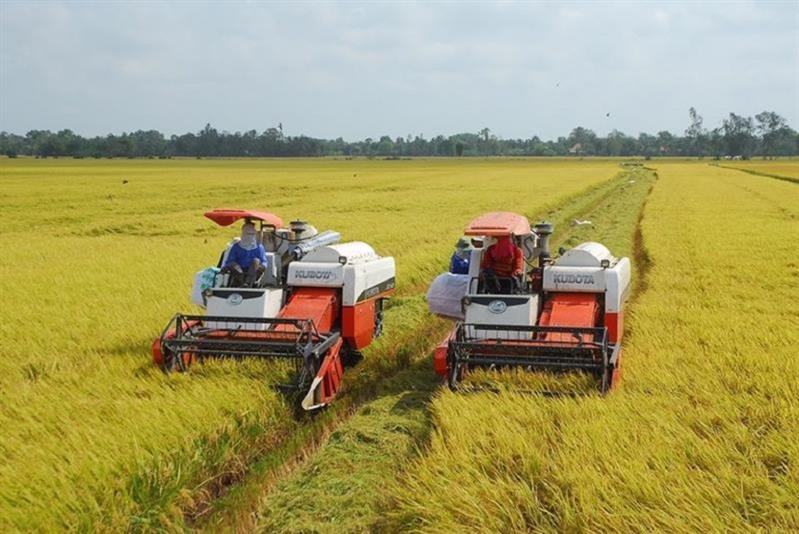 Việt Nam lần đầu xuất khẩu lô hàng “Gạo Việt xanh - phát thải thấp”