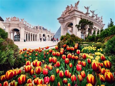 Lịch trình du xuân biển đảo dịp Tết Giáp Thìn với 10 triệu đồng