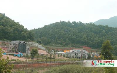 Luật Đất đai 2024: Trường hợp không được chuyển nhượng, nhận tặng đất đai
