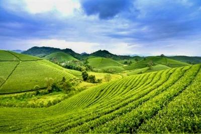 Luật Đất đai quy định về điều kiện được bồi thường về đất khi Nhà nước thu hồi đất vì mục đích quốc phòng, an ninh; phát triển kinh tế - xã hội vì lợi ích quốc gia, công cộng như thế nào?