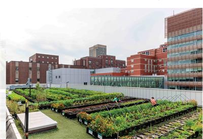 Mỹ: Boston hướng đến quy hoạch bền vững