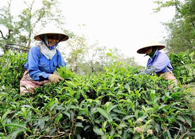 Nâng cao hiệu quả công tác xây dựng  các chương trình/dự án mới