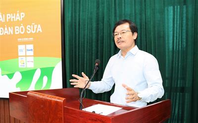 Ngành chăn nuôi bò sữa: Bài toán tồn tại và phát triển