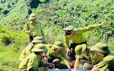 Nghệ An: Nỗ lực bảo vệ và phát triển rừng