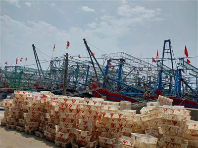 Nghệ An: Thực hiện nghiêm túc các chỉ đạo về chống khai thác IUU
