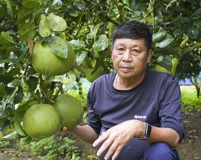 Người lính năm xưa gieo hạt “xanh” trên đất Điền Lư