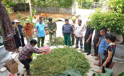Ninh Bình: Tích cực tuyên truyền về xử lý rác thải hữu cơ