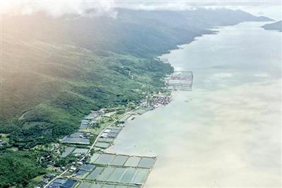 Ninh Hòa tạm dừng tiếp nhận giải quyết hồ sơ chuyển mục đích sử dụng đất