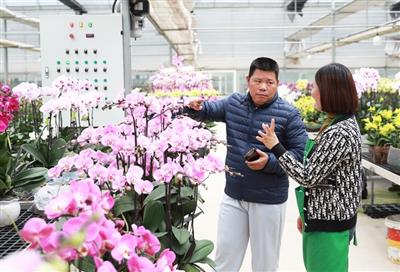 Nông dân phấn khởi vào vụ Tết