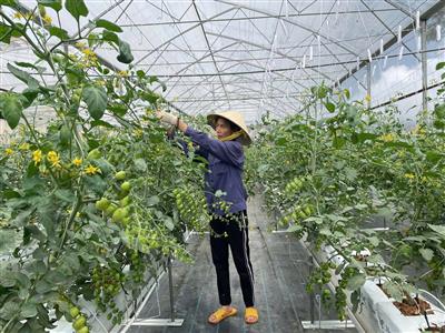 Nữ CNVCLĐ ngành nông nghiệp và môi trường: Bản lĩnh, trí tuệ và nhân văn trong kỷ nguyên mới