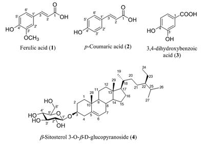 Phân lập một số hợp chất từ cao ethyl acetate chiết từ quả Helicteres isora L., họ Trôm (Sterculiaceae)