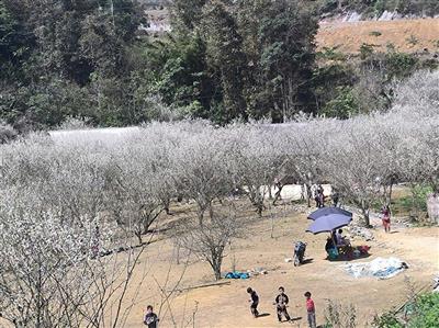 Phát triển du lịch nông nghiệp sinh thái tại xã vùng cao Tả Van Chư