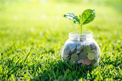 Phát triển kinh tế xanh để bảo vệ môi trường