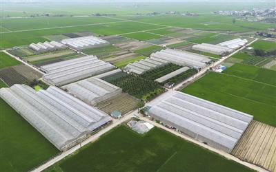 Phổ biến Luật Đất đai 2024 tại Thanh Hóa - Bài 2: Khơi thông nguồn lực từ tích tụ đất đai