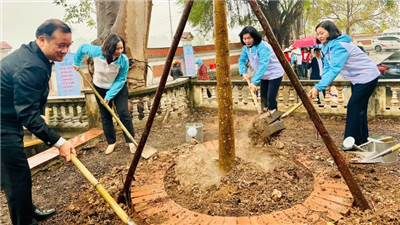 Phụ nữ Thủ đô phấn đấu trồng 5.000 cây xanh, cây ăn trái