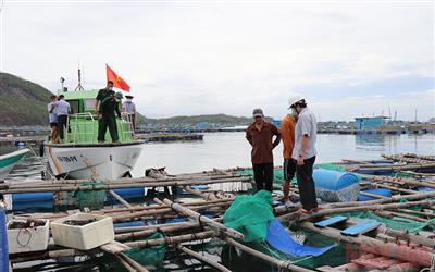 Phú Yên phát triển nghề nuôi biển theo hướng công nghiệp hiện đại