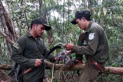Quảng Nam tiên phong bảo tồn đa dạng sinh học