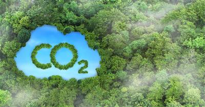 Quảng Trị: Chi trả tín chỉ Carbon đã góp phần quan trọng trong việc tăng cường hiệu quả quản lý, bảo vệ rừng