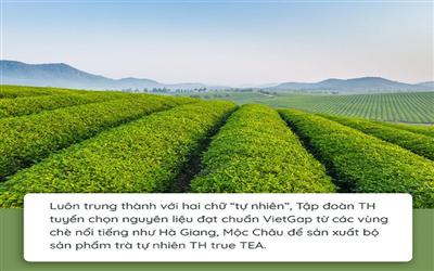 Quy trình làm ra chai trà hoàn toàn tự nhiên chinh phục cộng đồng healthy