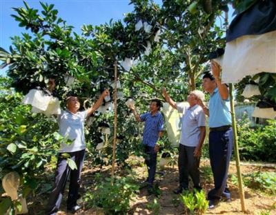 Quyết liệt xây dựng nông thôn mới