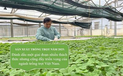 Ngành trồng trọt vượt khó nhờ chủ động thích ứng, kỹ thuật hiện đại và chính sách đồng bộ