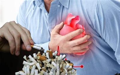 Tăng thuế thuốc lá: Chính sách “cùng thắng” để bảo vệ sức khỏe cộng đồng và thúc đẩy tăng trưởng bền vững
