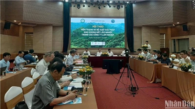 Tháo gỡ vướng mắc trong giao khoán đất lâm nghiệp