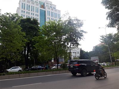 Thời tiết ngày 11/10: Miền Bắc trời lạnh, miền Trung và Nam Bộ có mưa to