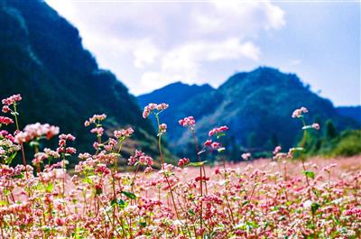 Thời tiết ngày 11/11: Miền Bắc sáng sớm có sương mù, miền Nam  ngày nắng, chiều tối có mưa