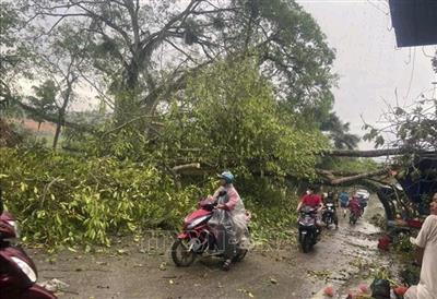 Thời tiết ngày 12/5: Không khí lạnh tăng cường gây mưa dông