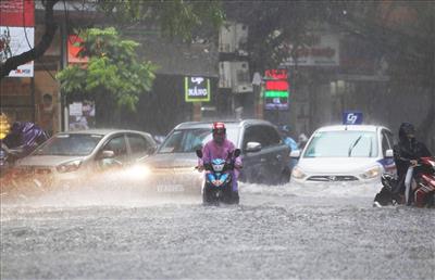 Thời tiết ngày 14/6: Miền Bắc mưa lớn diện rộng, giảm nhiệt nhanh