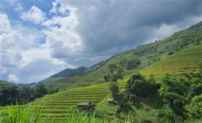 Thời tiết ngày 15/9: Bắc Bộ chuẩn bị mưa lớn diện rộng, đề phòng lũ quét sạt lở đất vùng núi và trung du