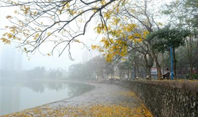 Thời tiết ngày 16/11: Bắc Bộ, Trung Bộ có mưa nhỏ rải rác. Tây Nguyên và Nam Bộ mưa rào và dông