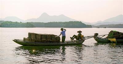 Thời tiết ngày 2/10: Đồng bằng Bắc Bộ, Hòa Bình và khu vực Bắc Trung Bộ có mưa vừa, mưa to, có nơi mưa rất to