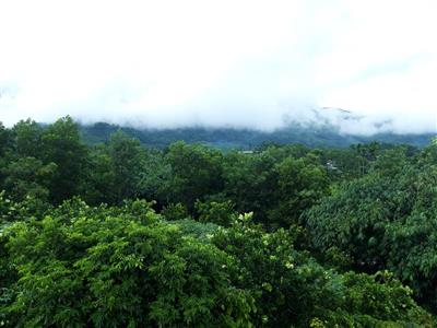 Thời tiết ngày 22/8: Miền Băc giảm mưa, nhiệt độ tăng dần