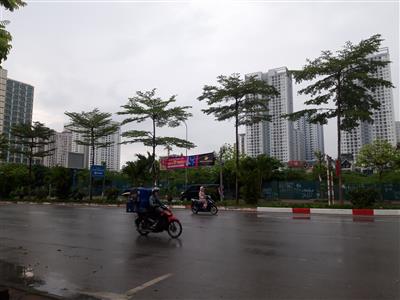 Thời tiết ngày 9/7: Cả nước có nhiều nơi mưa dông, đề phòng lũ quét và sạt lở đất, biển động mạnh