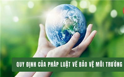 Thực hiện trách nhiệm của nhà sản xuất, nhập khẩu để xây dựng một đất nước xanh, sạch bền vững