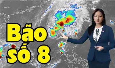 Tin bão trên biển Đông: Cơn bão số 8