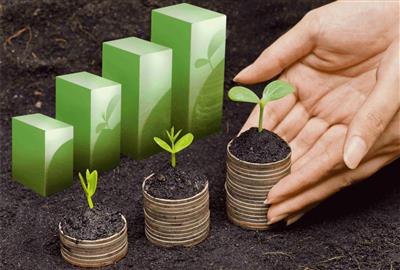 Tín dụng xanh là giải pháp hiệu quả để giảm nhẹ thiệt hại do biến đổi khí hậu