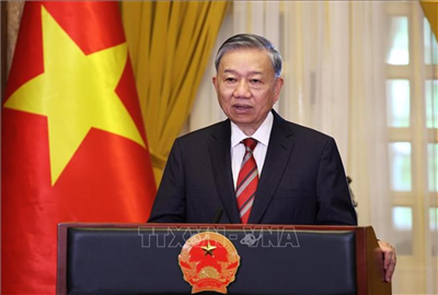 Tổng Bí thư Tô Lâm làm Trưởng Ban Chỉ đạo Trung ương về hoàn thiện thể chế, pháp luật