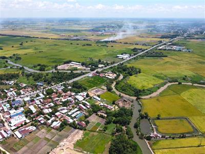 TP HCM: Đề xuất 45 dự án có chuyển mục đích sử dụng đất trồng lúa