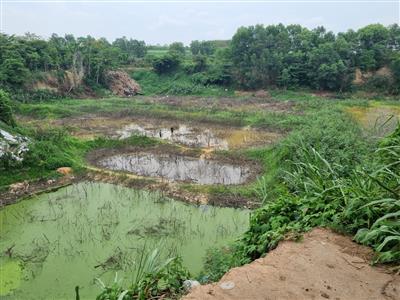 TP. Hồ Chí Minh: Hiểm họa từ hố sâu cạnh bãi rác Đông Thạnh