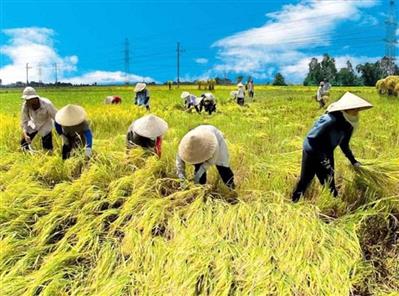 Không còn hộ nghèo theo chuẩn nghèo đa chiều ở TP. Hồ Chí Minh