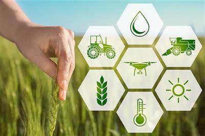 Trách nhiệm của doanh nghiệp nông nghiệp đối với bảo vệ môi trường